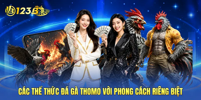Các thể thức đá gà Thomo với phong cách riêng biệt Các thể thức đá gà Thomo với phong cách riêng biệt