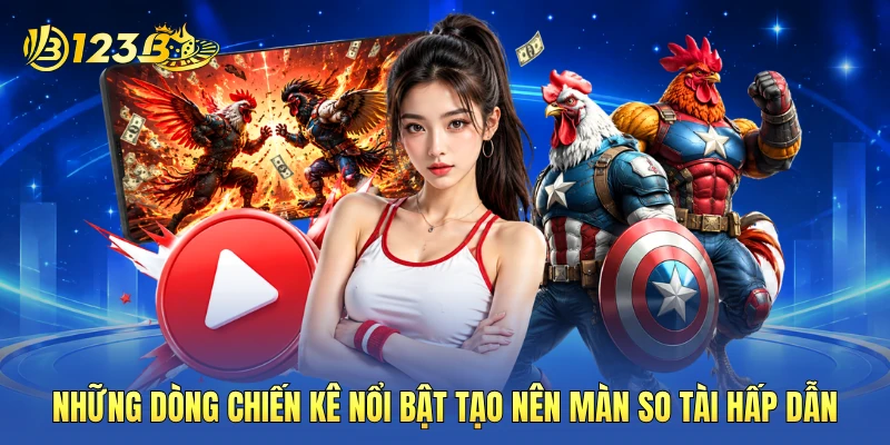 Những dòng chiến kê nổi bật tạo nên màn so tài hấp dẫn Những dòng chiến kê nổi bật tạo nên màn so tài hấp dẫn