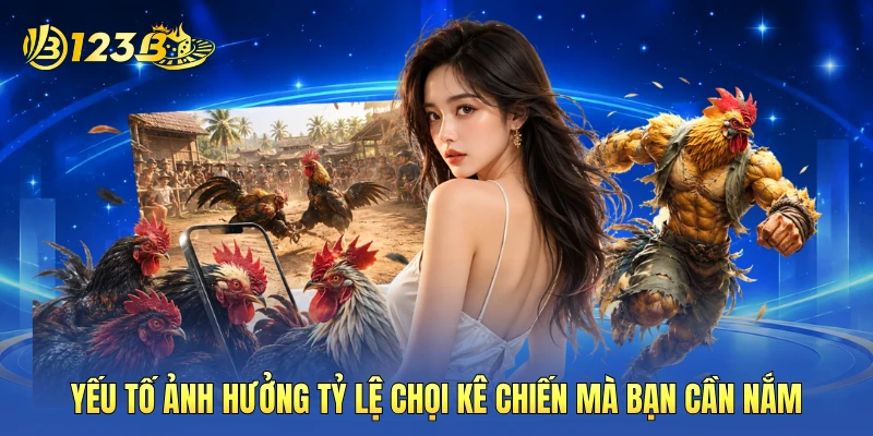 Yếu tố ảnh hưởng tỷ lệ chọi kê chiến mà bạn cần nắm Yếu tố ảnh hưởng tỷ lệ chọi kê chiến mà bạn cần nắm
